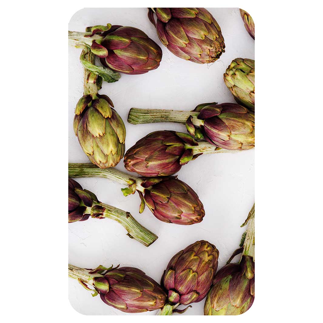 ARTICHOKE DEEP GREEN AND PURPLE ON WHITE KITCHEN TOWEL