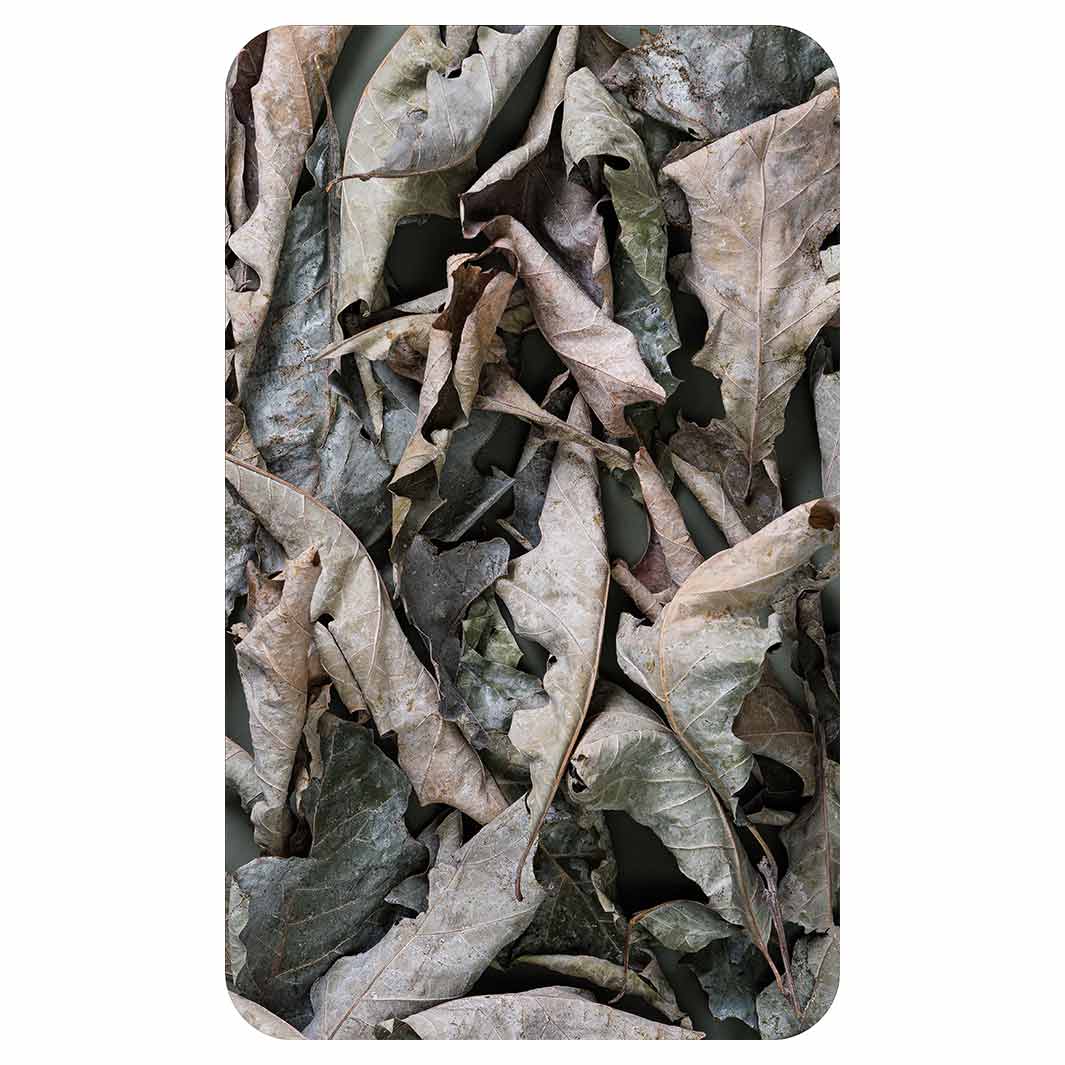 MONOCHROMATIC GREY GREEN LEAVES KITCHEN TOWEL