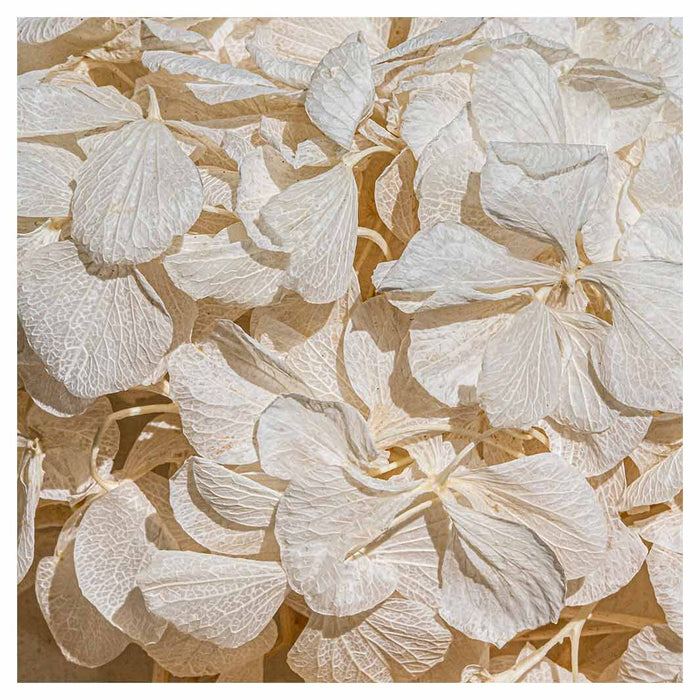 FLORAL CREAM BLEACHED HYDRANGEA LEAVES MAKE-UP BAG