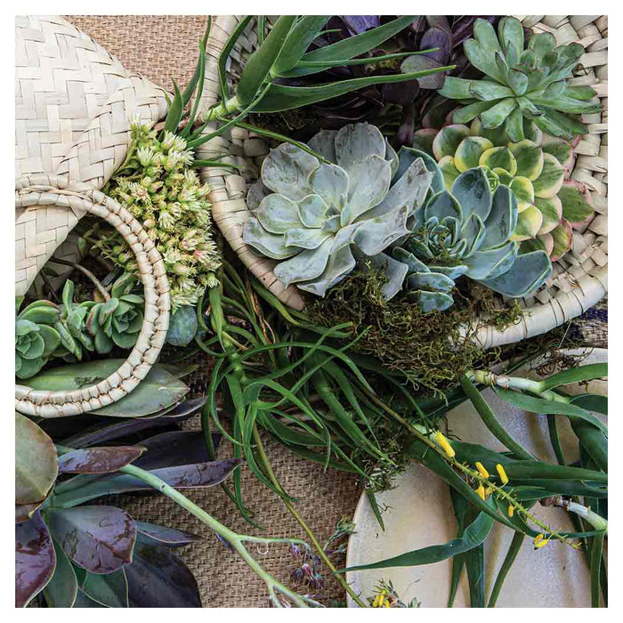 NATURAL GREEN ALOE BOUQUET IN BASKET ON HESSIAN MAKE-UP BAG