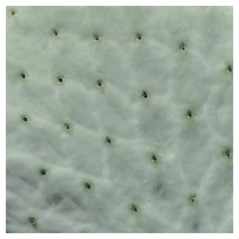 NATURAL GREEN PRICKLY PEAR LEAF MAKE-UP BAG