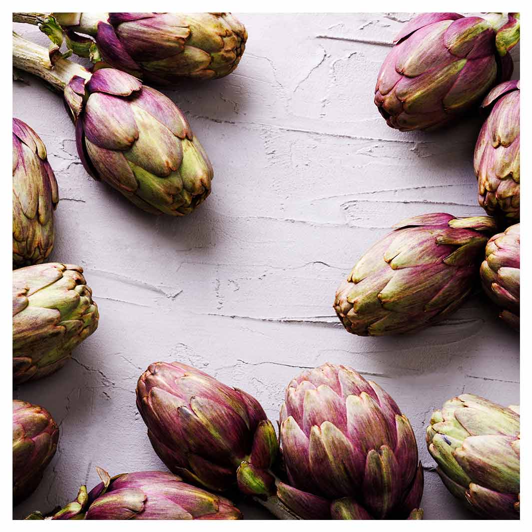 ARTICHOKE DARK PURPLE ON GREY MAKE-UP BAG