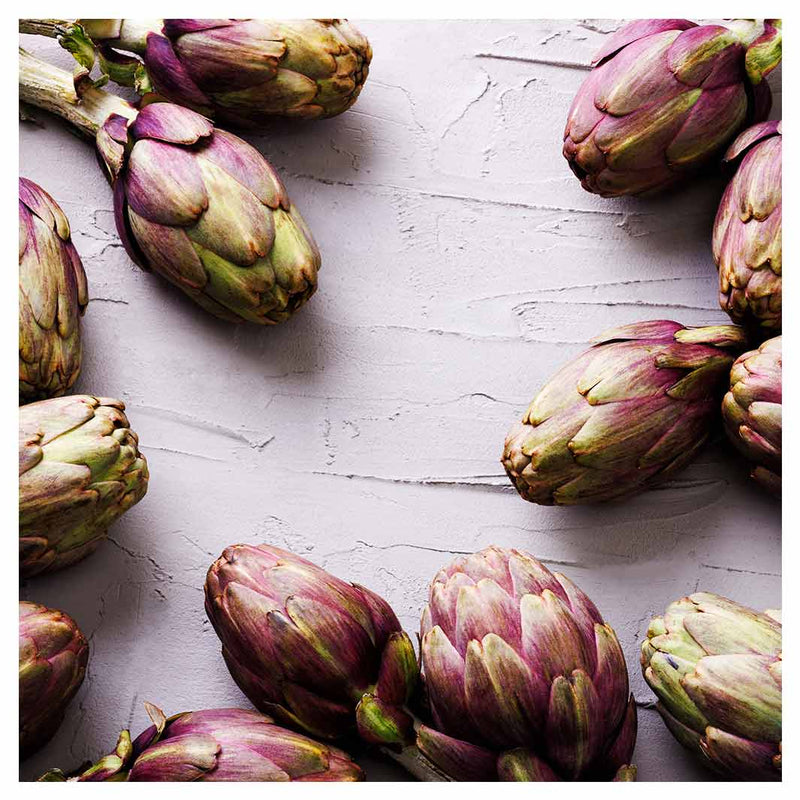 ARTICHOKE DARK PURPLE ON GREY MAKE-UP BAG