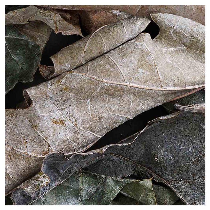 MONOCHROMATIC GREY GREEN LEAVES MAKE-UP BAG