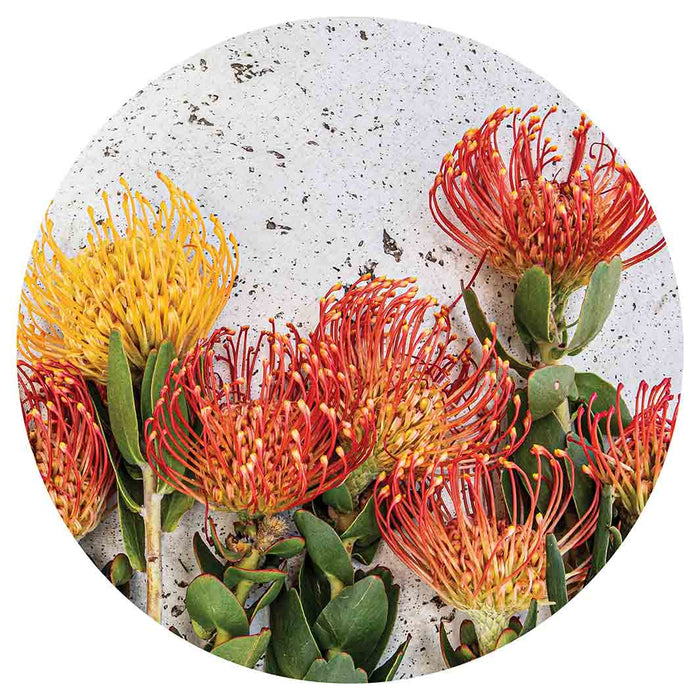 FLORAL ORANGE PIN CUSHIONS ON WHITE MOUSEPAD