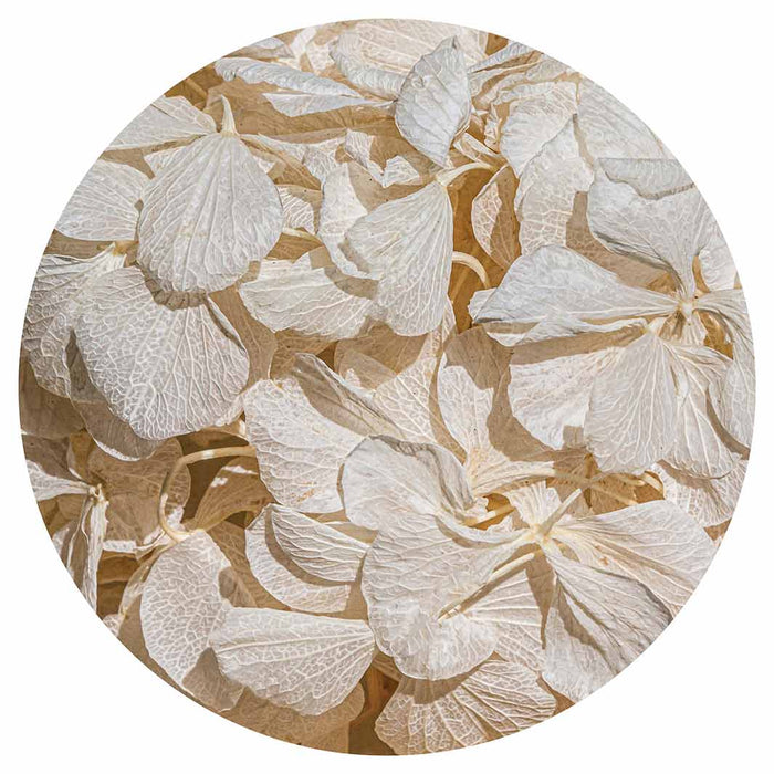 FLORAL CREAM BLEACHED HYDRANGEA LEAVES MOUSEPAD