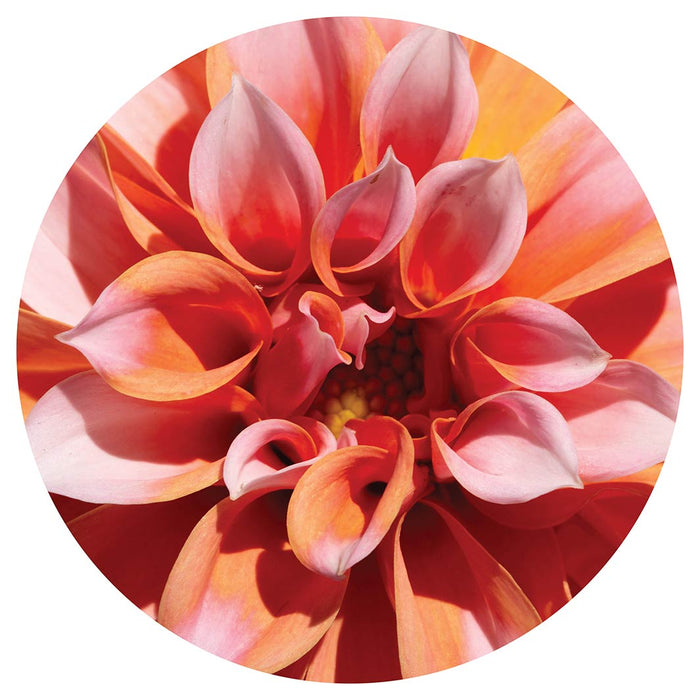 FLORAL PINK DAHLIA MOUSEPAD