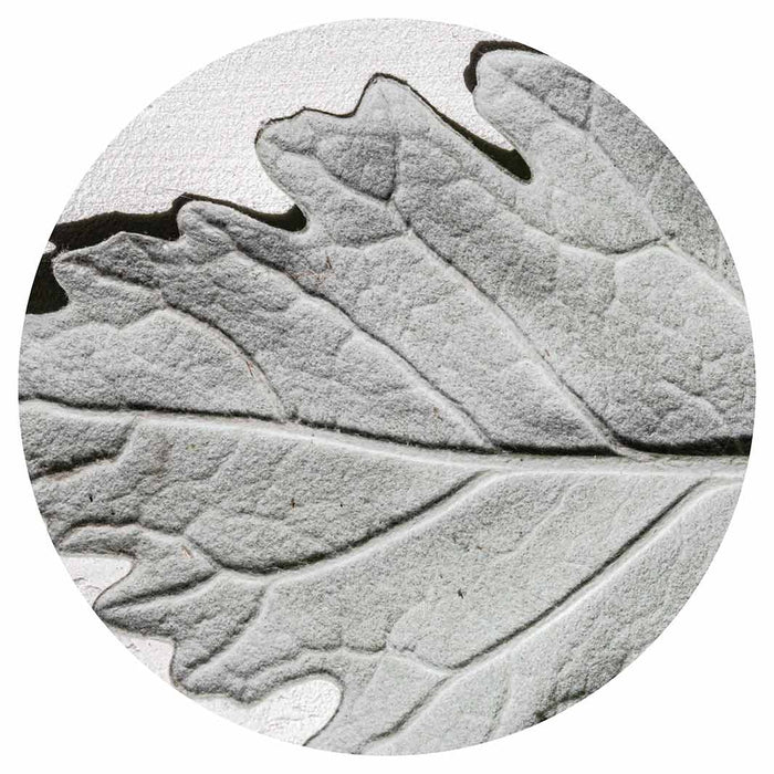 LEAVES GREY MONOCHROME LEAF MOUSEPAD