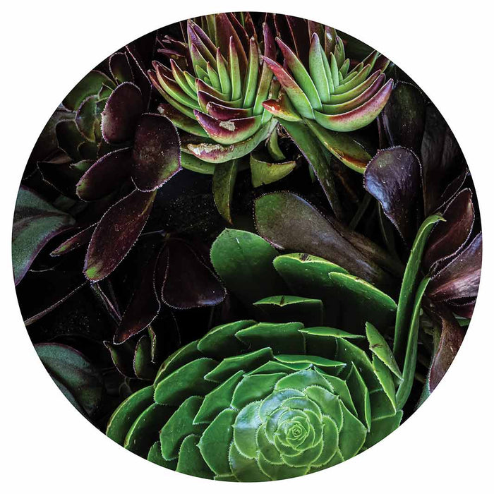 NATURAL GREEN AND PURPLE ALOE GARDEN MOUSEPAD