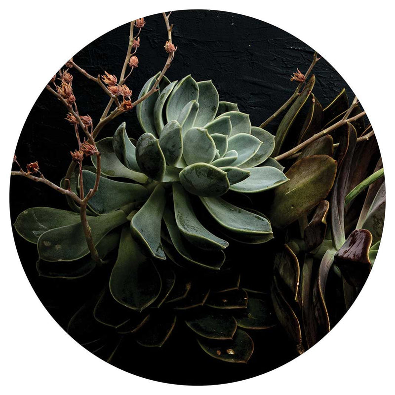 NATURAL GREEN ALOE BUSH WITH LEAVES MOUSEPAD