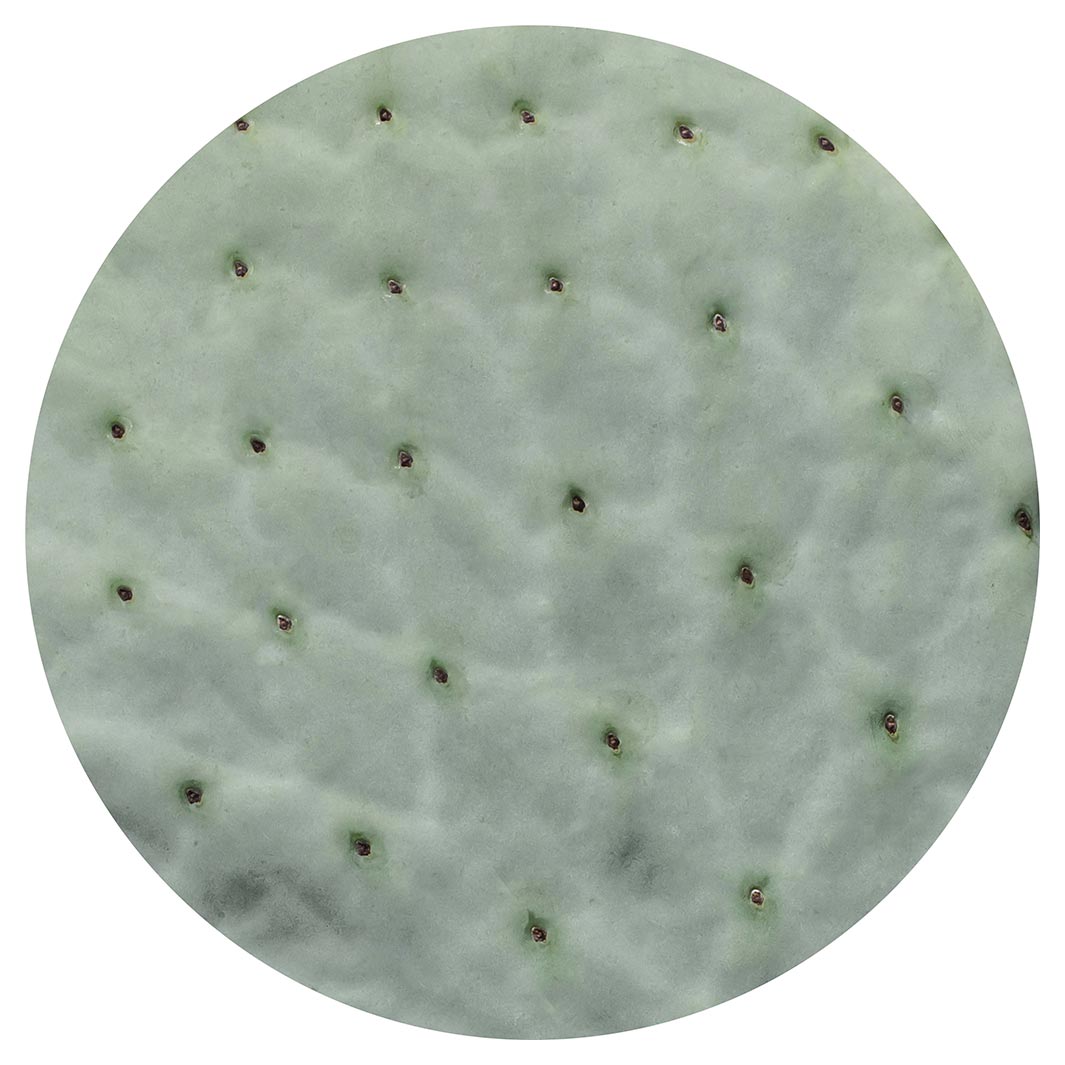 NATURAL GREEN PRICKLY PEAR LEAF MOUSEPAD