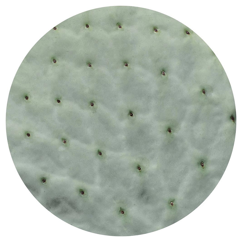 NATURAL GREEN PRICKLY PEAR LEAF MOUSEPAD