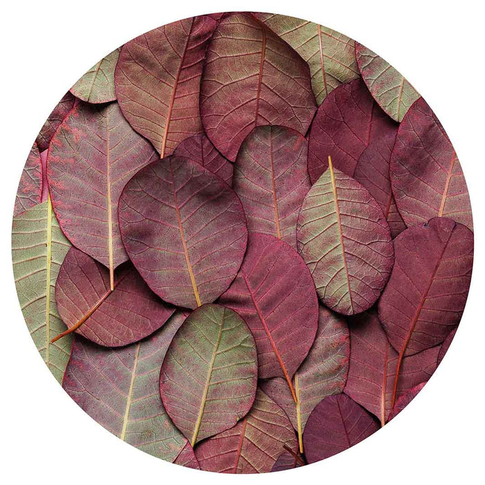 LEAF ARRANGEMENT DARK MAUVE AND GREEN MOUSEPAD