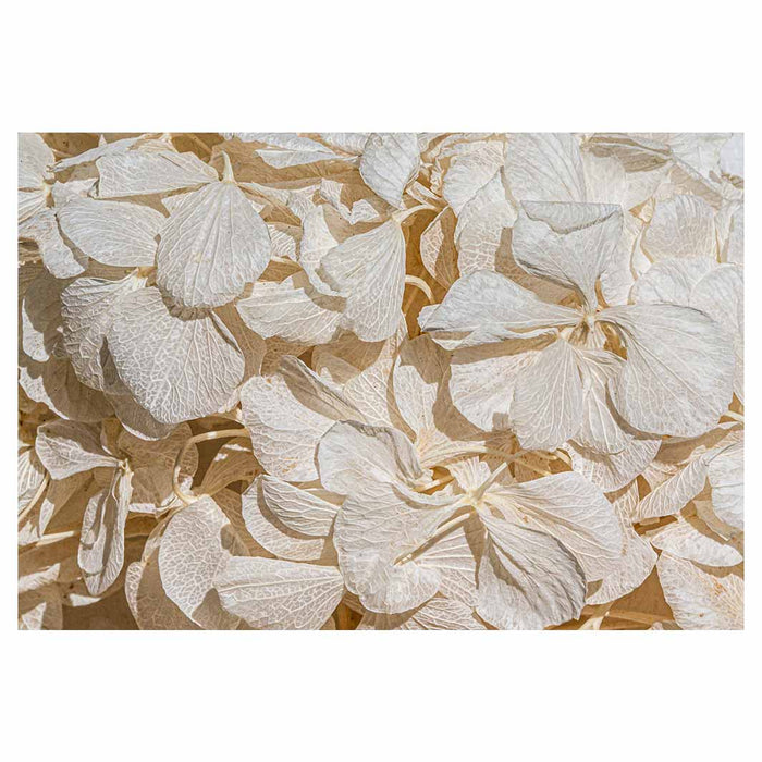 FLORAL CREAM BLEACHED HYDRANGEA LEAVES RECTANGULAR PLACEMAT