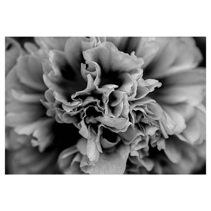 FLORAL BLACK AND WHITE PEONY RECTANGULAR PLACEMAT