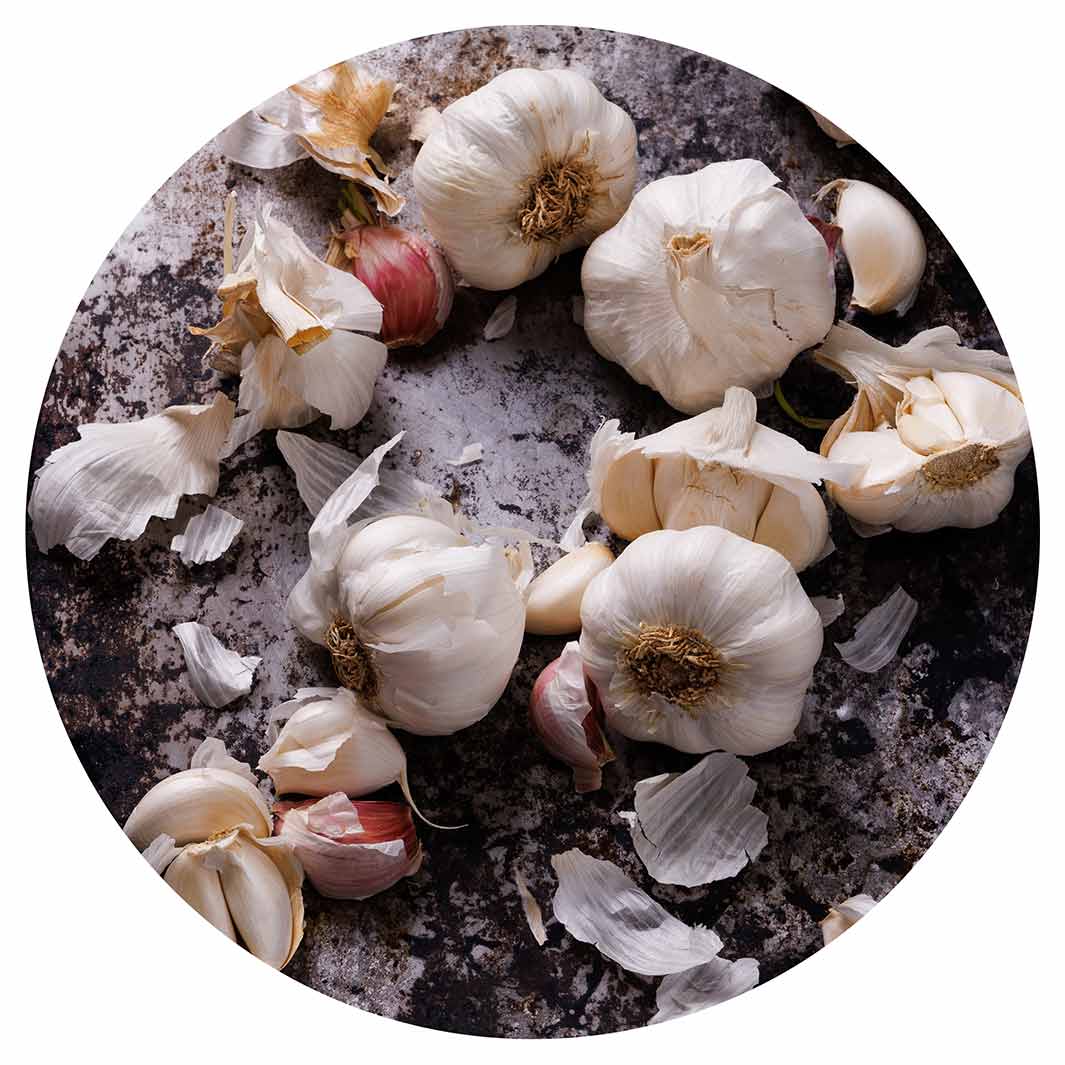 GARLIC BAKING TRAY POT STAND