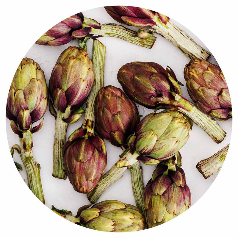 ARTICHOKE DEEP GREEN AND PURPLE ON WHITE POT STAND