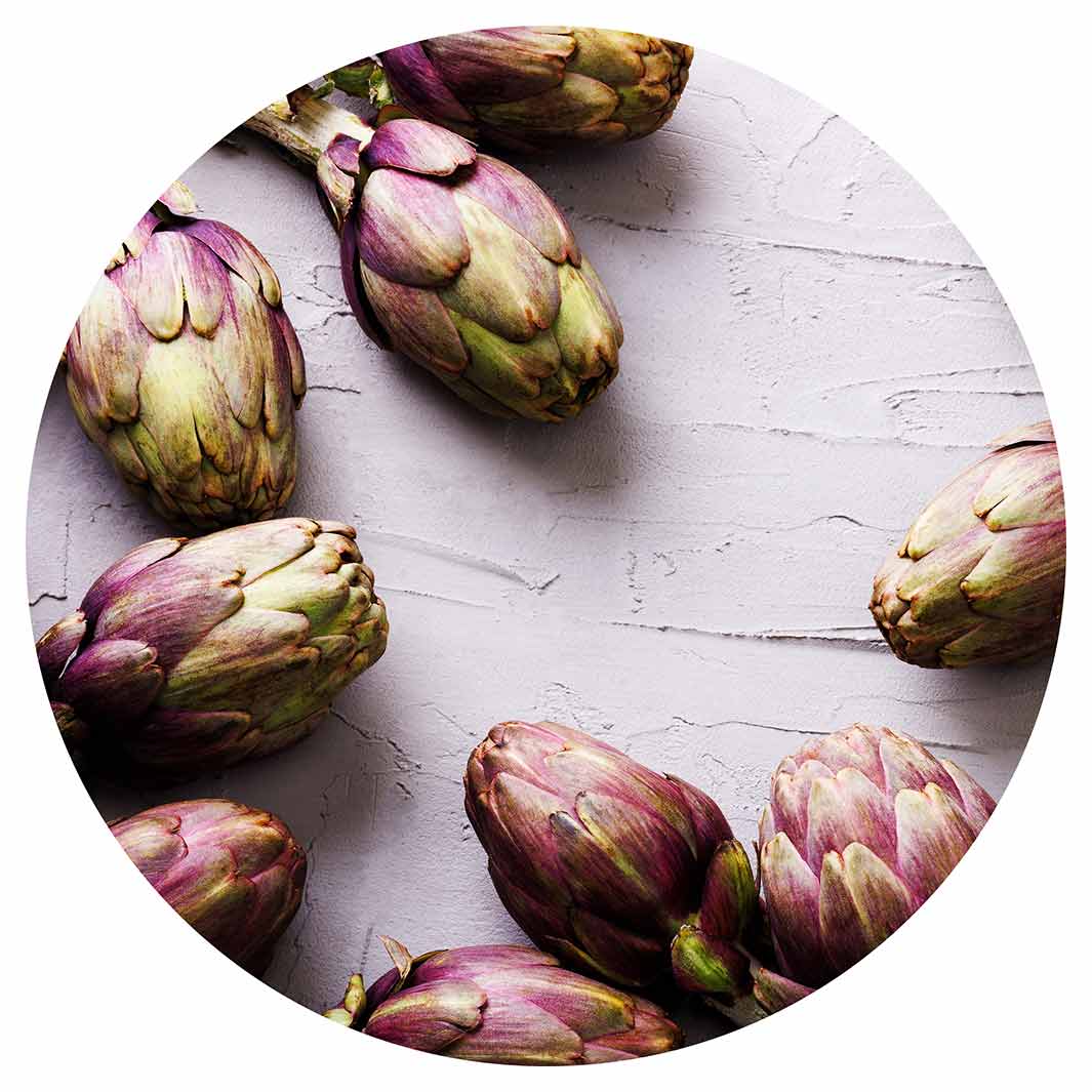 ARTICHOKE DARK PURPLE ON GREY POT STAND