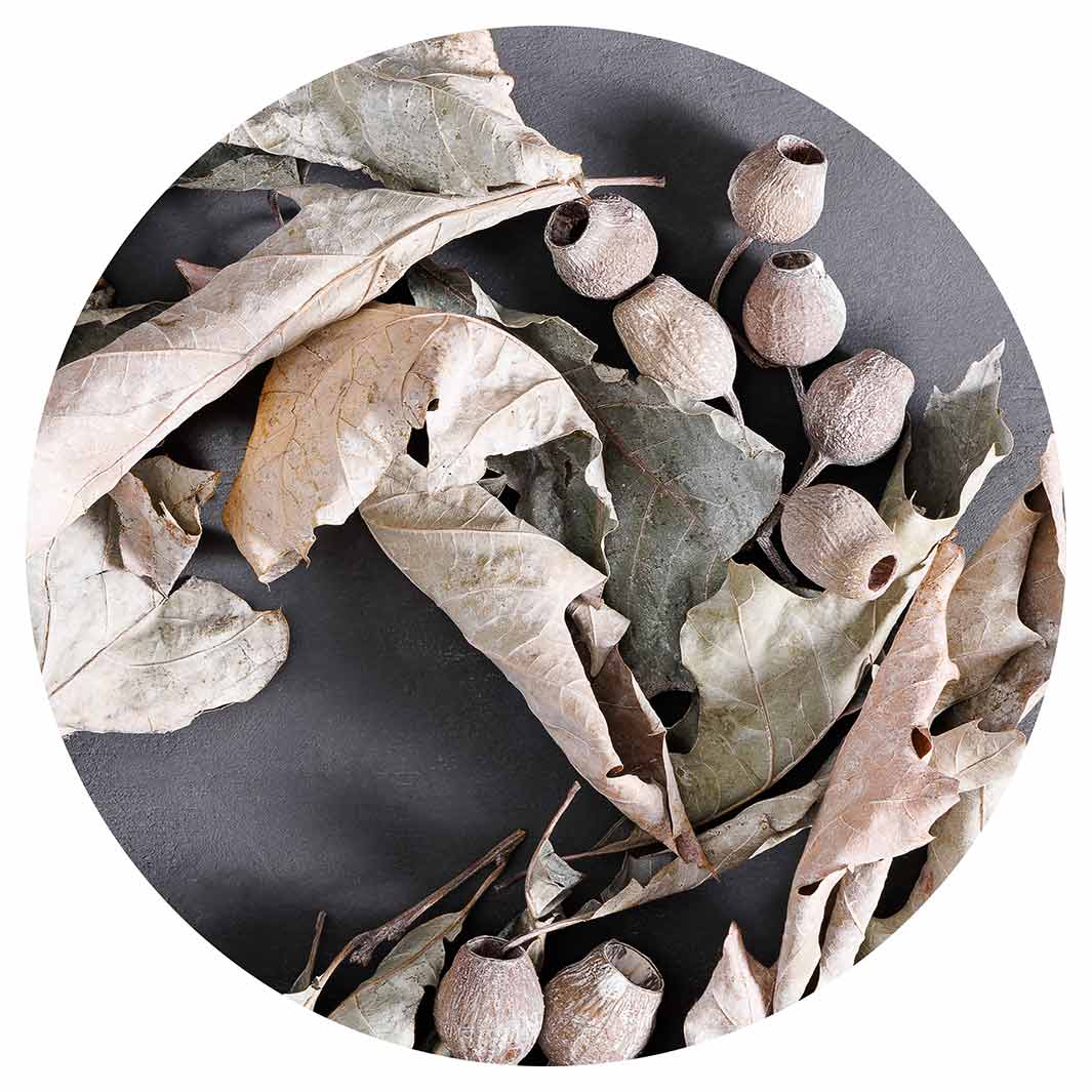 MONOCHROMATIC GREY LEAVES WREATH POT STAND