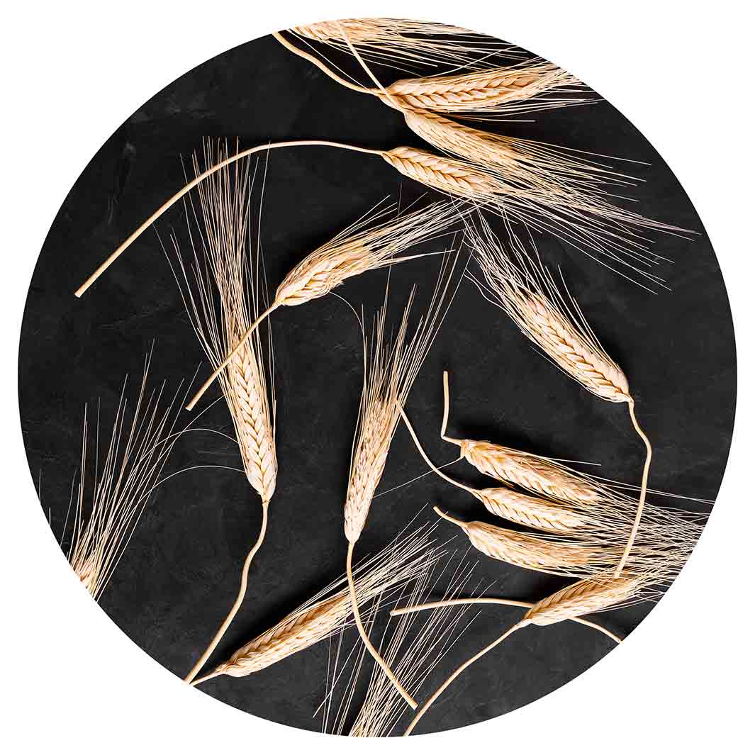 SCATTERED WHEAT ON BLACK POT STAND