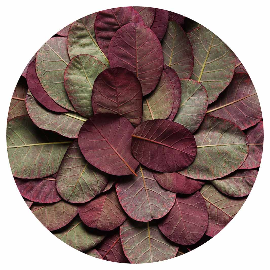 LEAF ROUND ARRANGEMENT DARK MAUVE AND GREEN POT STAND