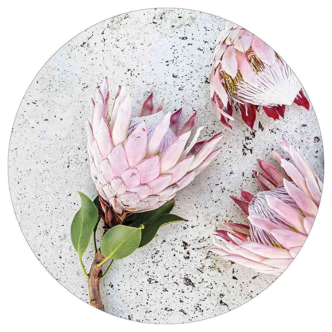 FLORAL PINK PROTEAS ON WHITE POT STAND