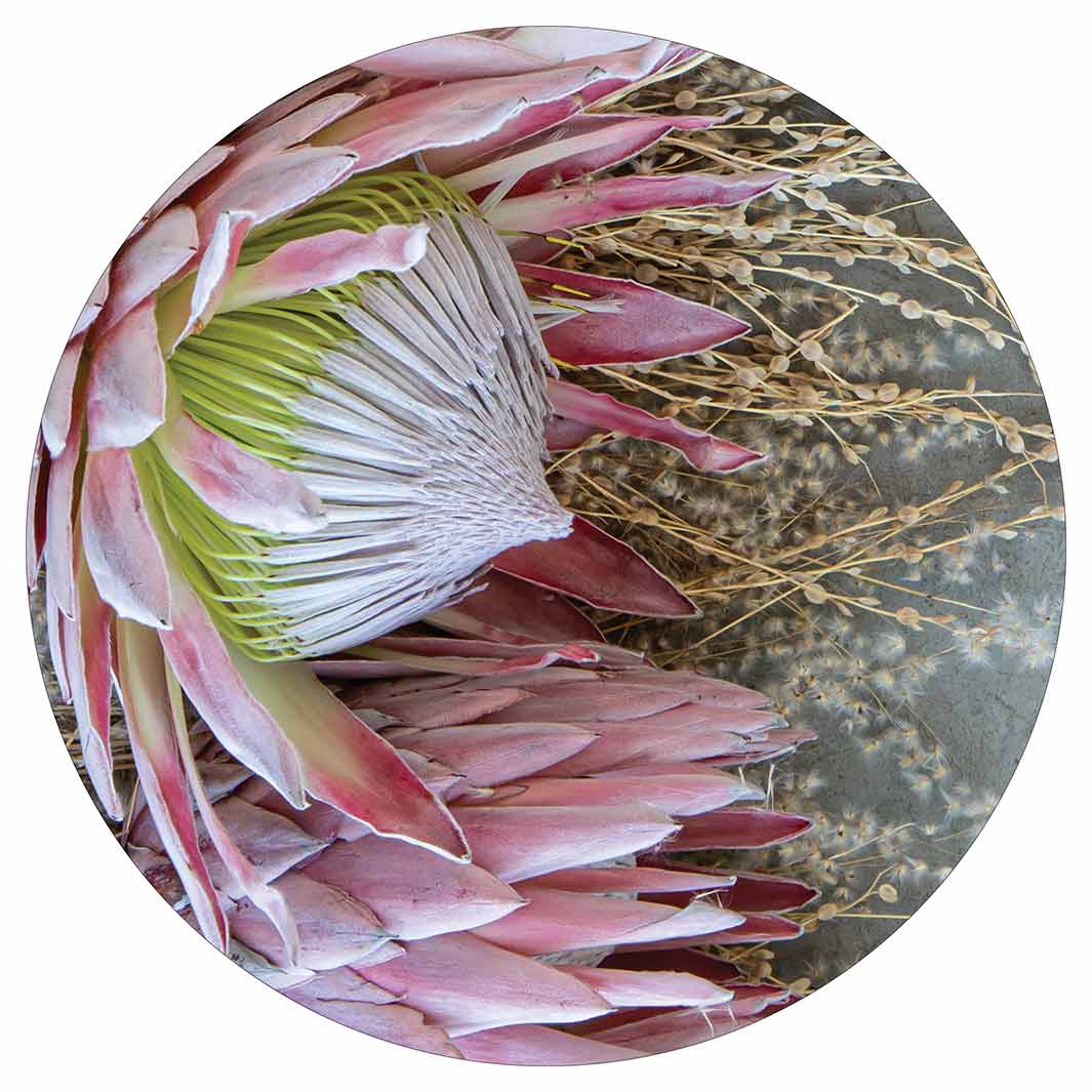 FLORAL DEEP PINK KING PROTEA POT STAND