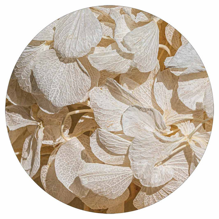 FLORAL CREAM BLEACHED HYDRANGEA LEAVES POT STAND