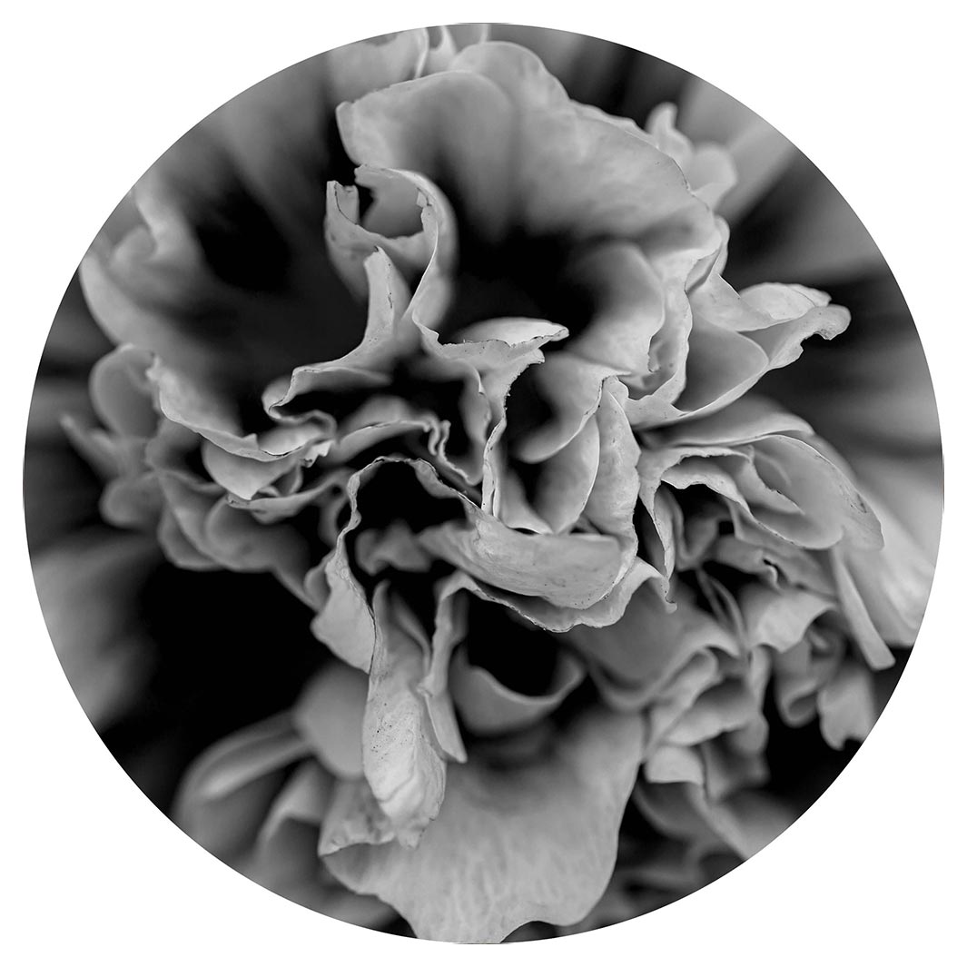 FLORAL BLACK AND WHITE PEONY POT STAND