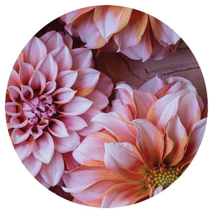 FLORAL PINK AND ORANGE DAHLIA FLOWERS POT STAND