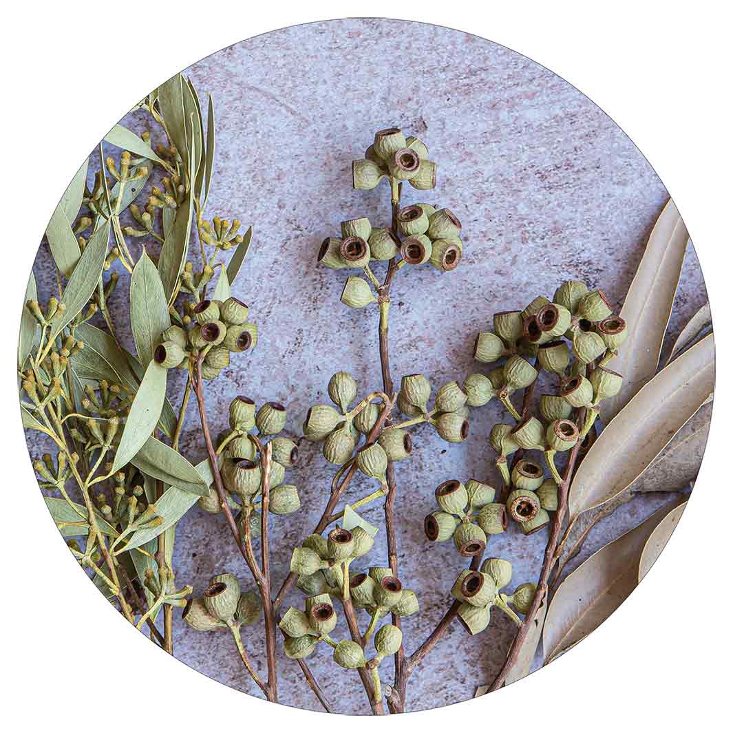 LEAVES BROWN NATURAL AMBERNUTS WITH GREEN FOLIAGE POT STAND