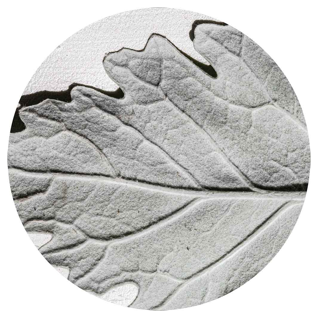 LEAVES GREY MONOCHROME LEAF POT STAND