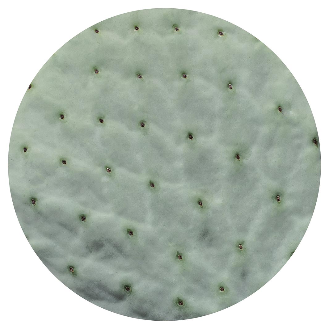 NATURAL GREEN PRICKLY PEAR LEAF POT STAND