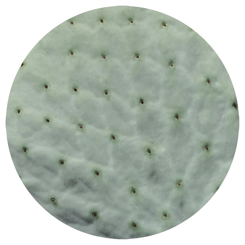 NATURAL GREEN PRICKLY PEAR LEAF POT STAND