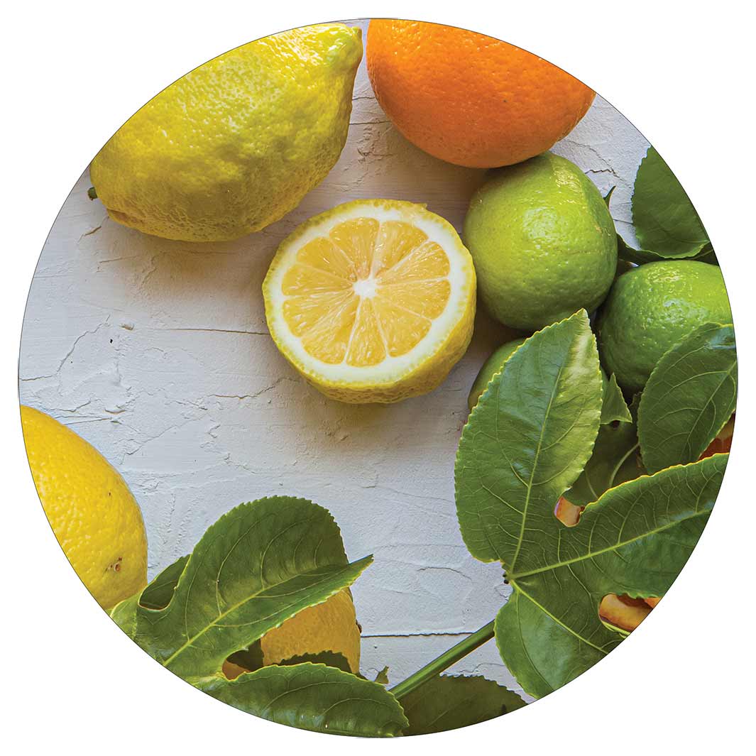 NATURAL YELLOW AND ORANGE CITRUS ON WHITE POT STAND