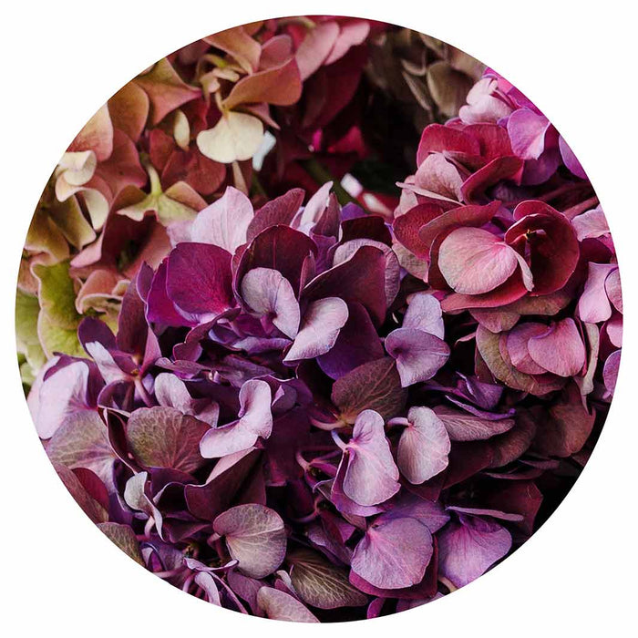 HYDRANGEA DEEP FLORAL TONES ROUND PLACEMAT