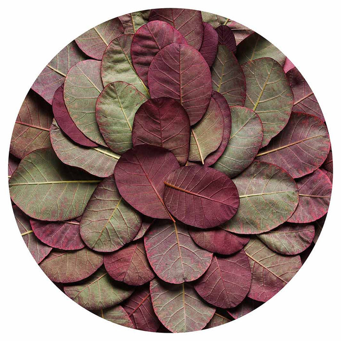 LEAF ROUND ARRANGEMENT DARK MAUVE AND GREEN ROUND PLACEMAT