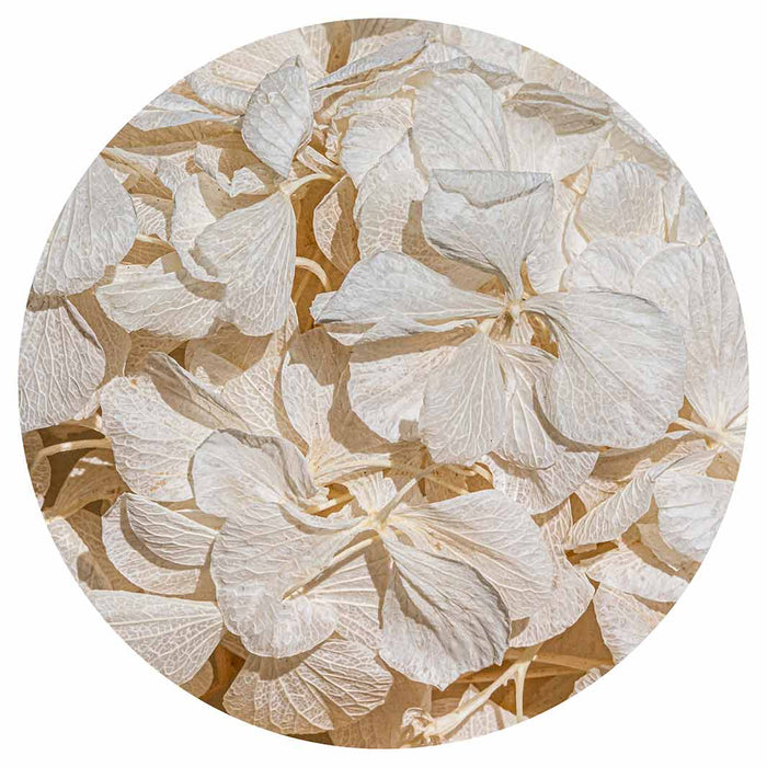 FLORAL CREAM BLEACHED HYDRANGEA LEAVES ROUND PLACEMAT