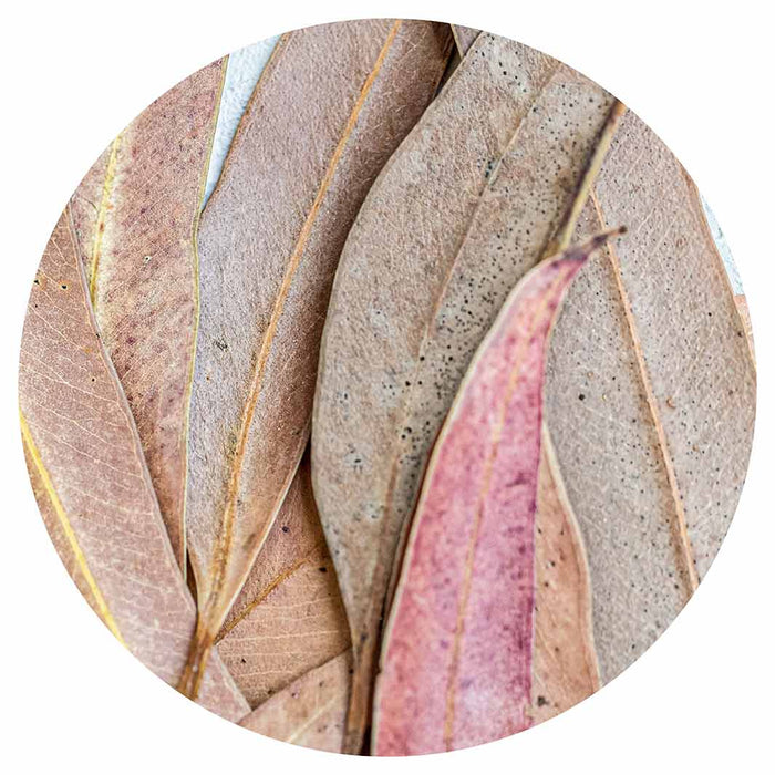 LEAVES PINK DRIED LEAVES ROUND PLACEMAT