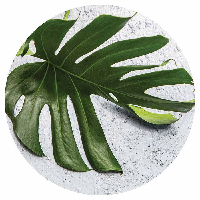 LEAVES GREEN MONSTERA LEAF ROUND PLACEMAT