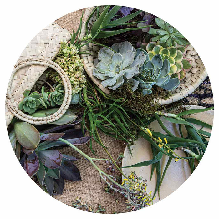 NATURAL GREEN ALOE BOUQUET IN BASKET ON HESSIAN ROUND PLACEMAT