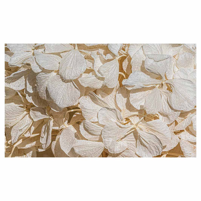 FLORAL CREAM BLEACHED HYDRANGEA LEAVES RECTANGULAR SCATTER CUSHION