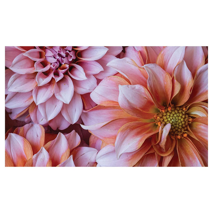 FLORAL PINK AND ORANGE DAHLIA FLOWERS RECTANGULAR SCATTER CUSHION