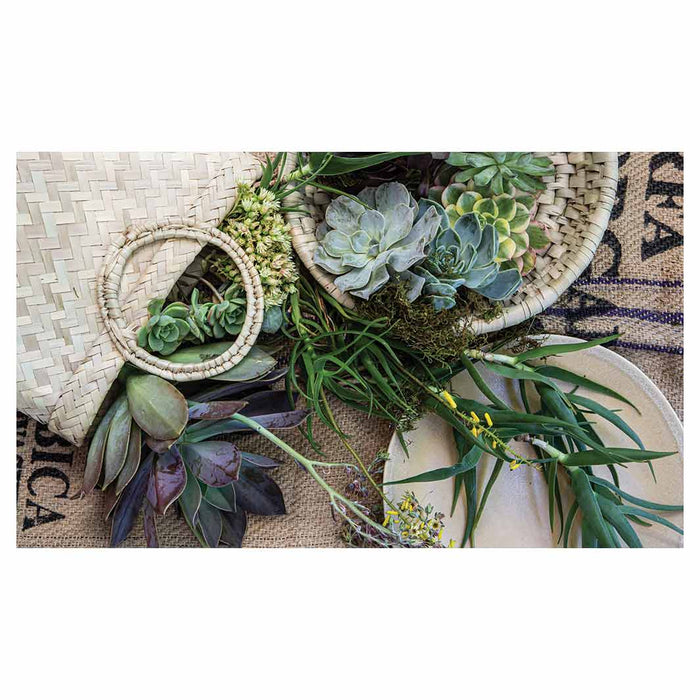 NATURAL GREEN ALOE BOUQUET IN BASKET ON HESSIAN RECTANGULAR SCATTER CUSHION