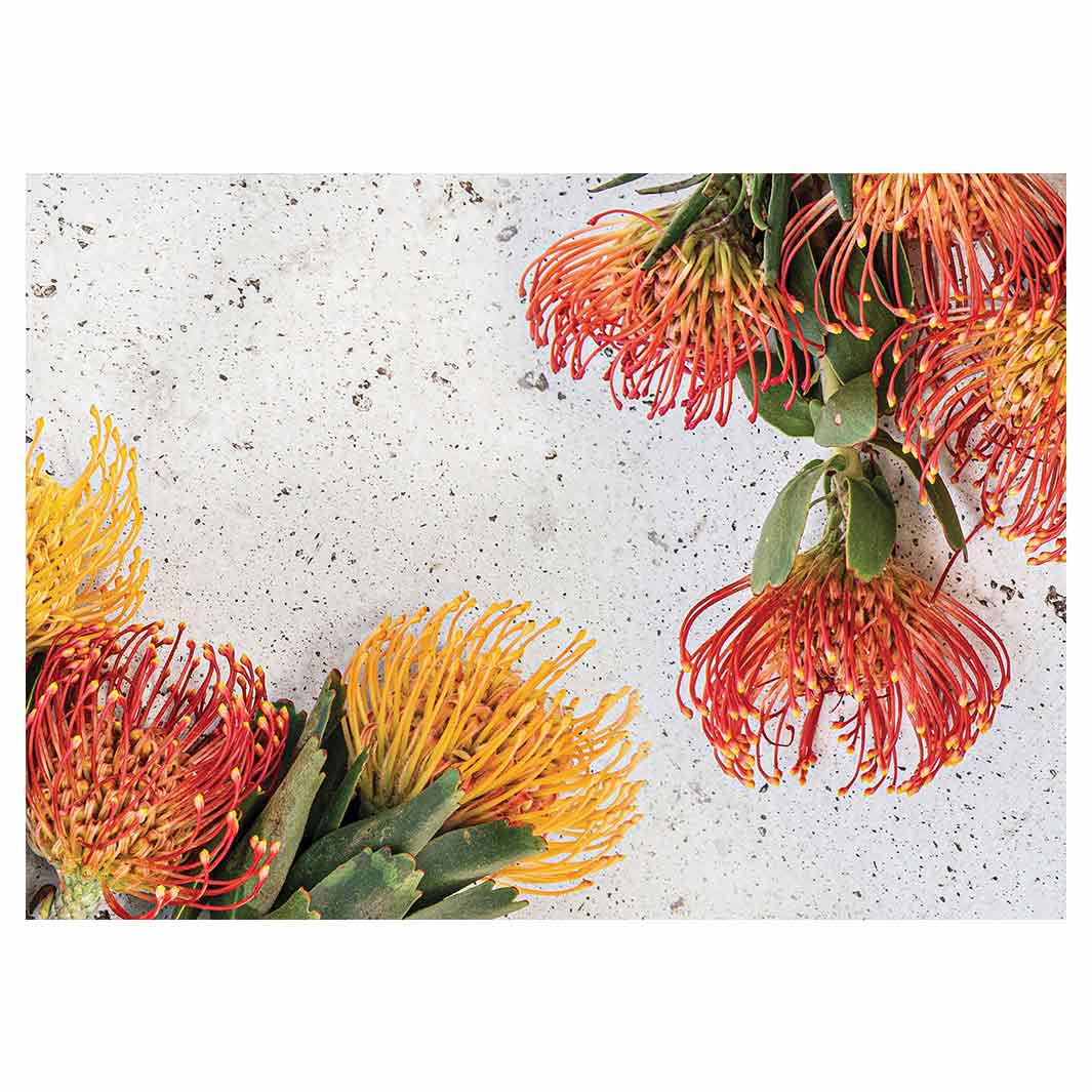 FLORAL ORANGE PIN CUSHIONS ON WHITE TABLECLOTH
