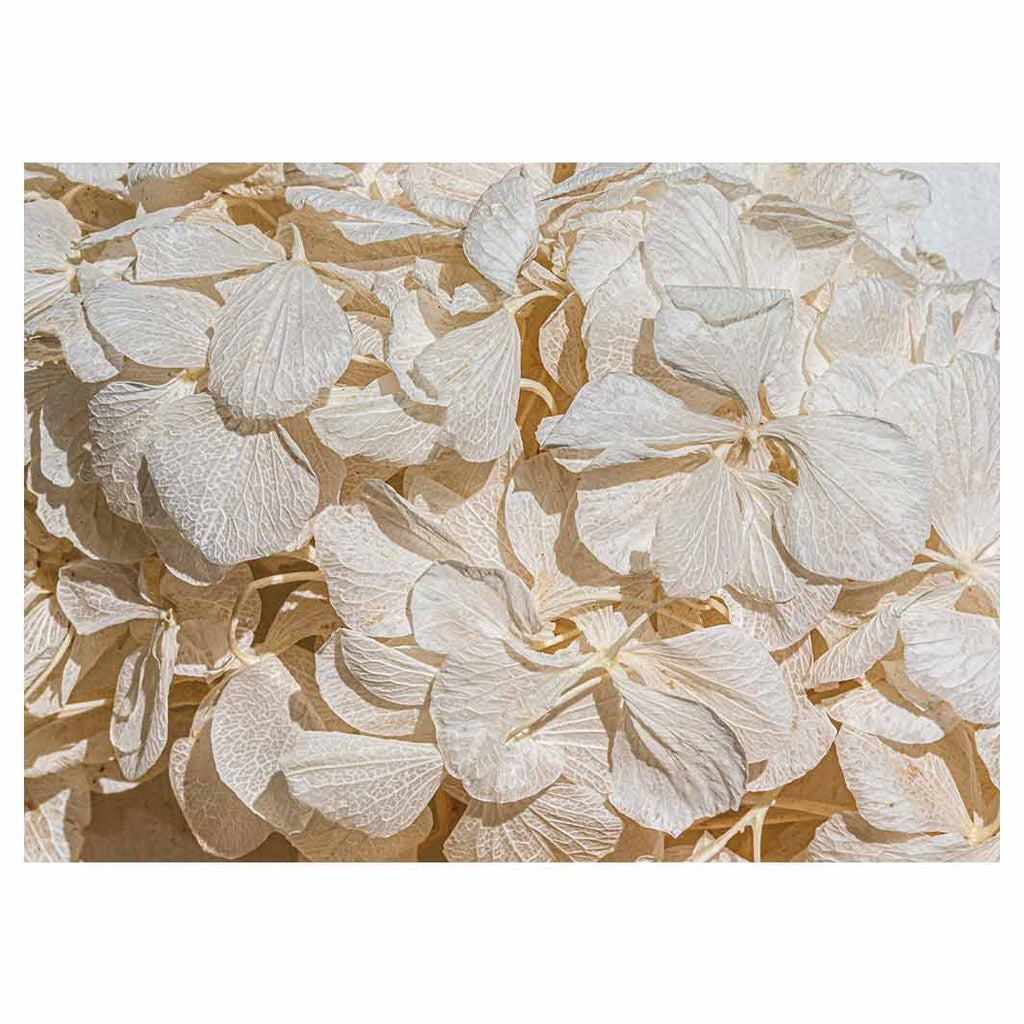 FLORAL CREAM BLEACHED HYDRANGEA LEAVES TABLECLOTH