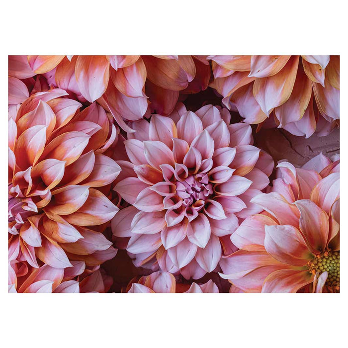 FLORAL PINK AND ORANGE DAHLIA FLOWERS TABLECLOTH