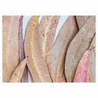 LEAVES PINK DRIED LEAVES TABLECLOTH