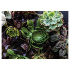 NATURAL GREEN AND PURPLE ALOE GARDEN TABLECLOTH