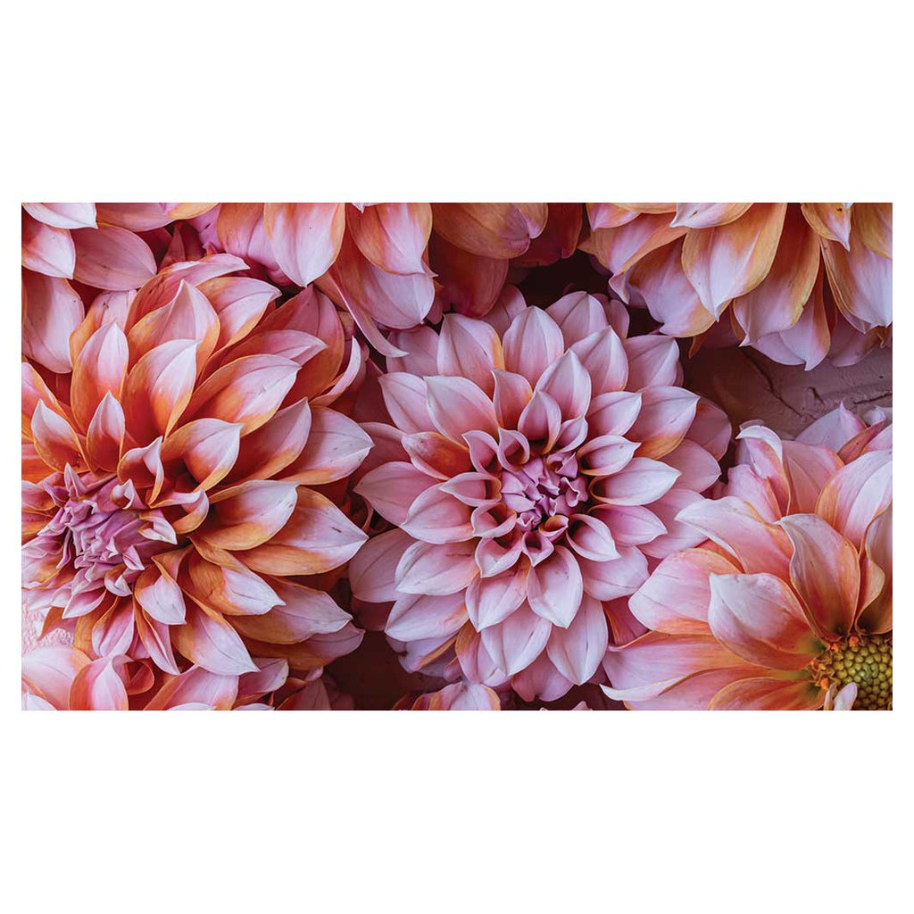 FLORAL PINK AND ORANGE DAHLIA FLOWERS TABLECLOTH
